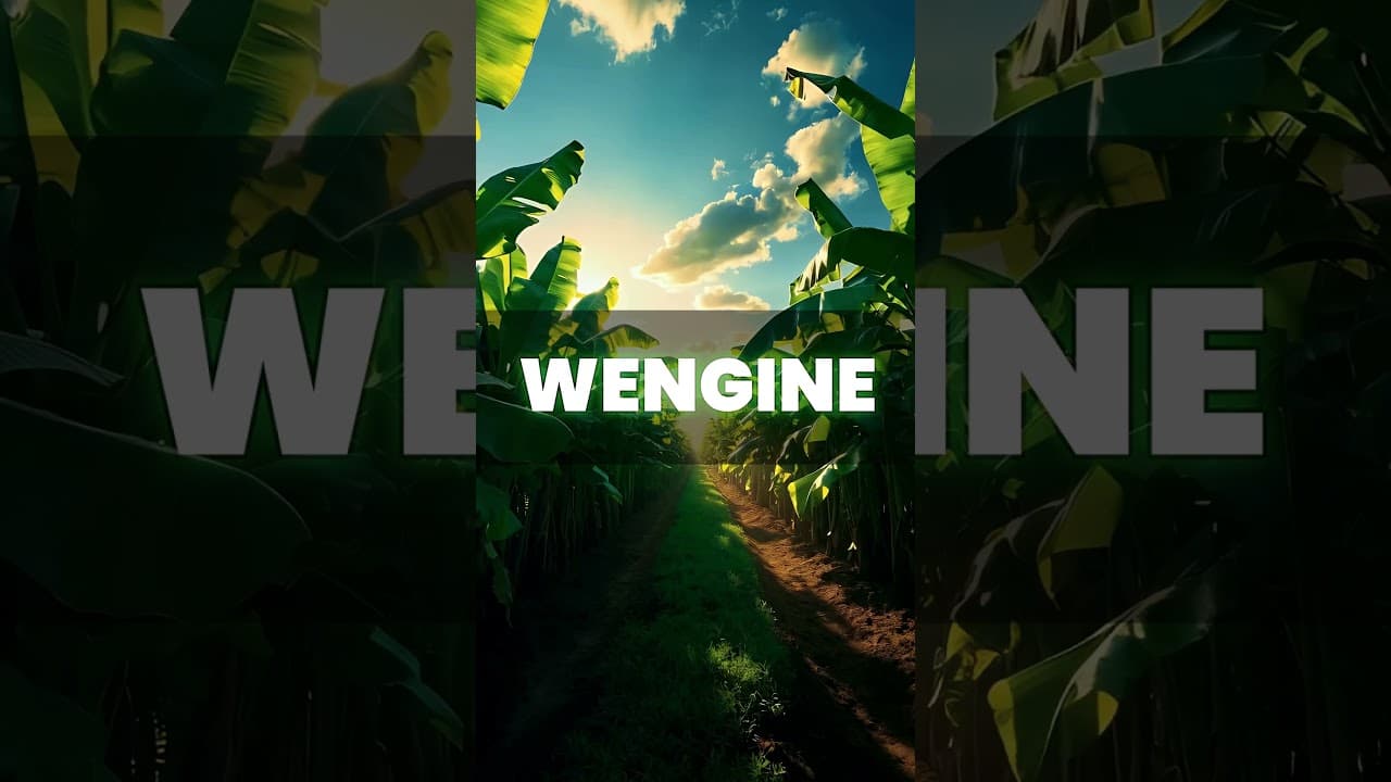 Usinipite Mwokozi | Pass Me Not O Gentle Savior